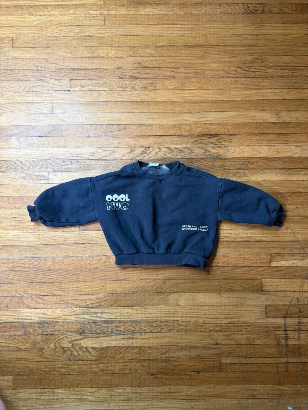 Zara 2T Cool NYC Sweatshirt